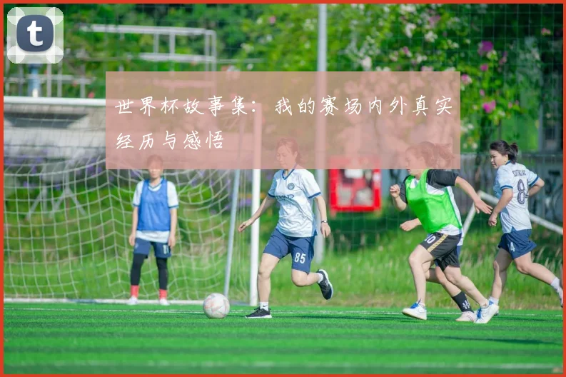 世界杯故事集：我的赛场内外真实经历与感悟