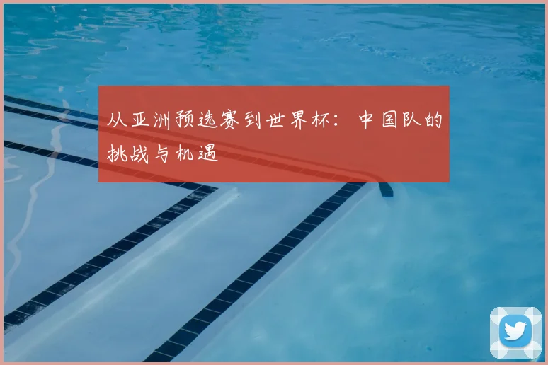 从亚洲预选赛到世界杯：中国队的挑战与机遇