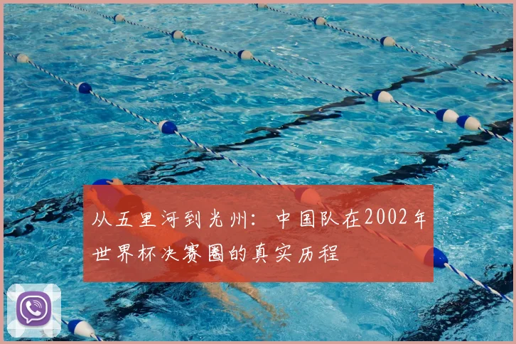 从五里河到光州：中国队在2002年世界杯决赛圈的真实历程