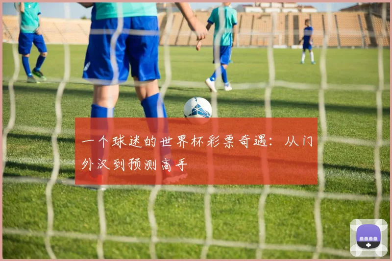 一个球迷的世界杯彩票奇遇：从门外汉到预测高手