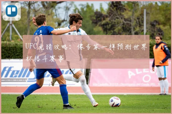 UFC竞猜攻略:像专家一样预测世界杯格斗赛事