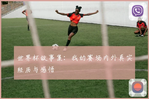世界杯故事集：我的赛场内外真实经历与感悟