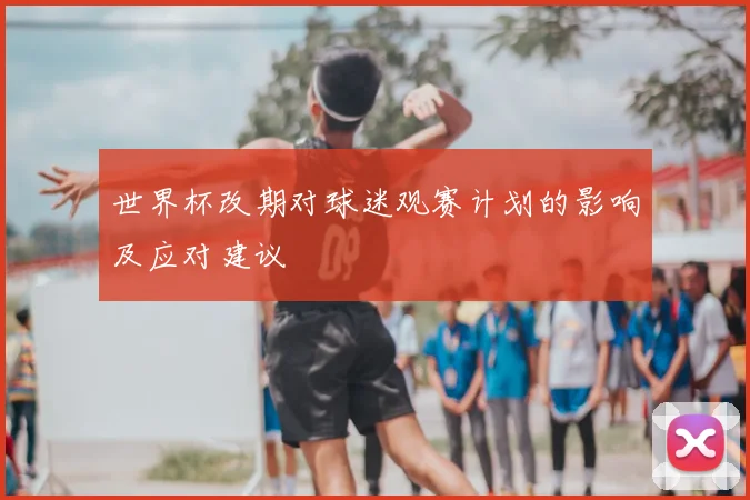 世界杯改期对球迷观赛计划的影响及应对建议