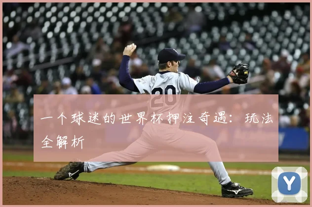 一个球迷的世界杯押注奇遇：玩法全解析